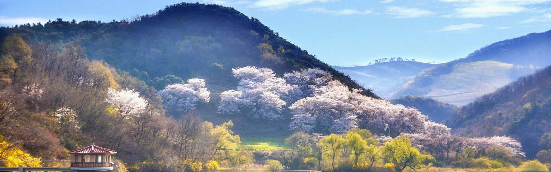 背景