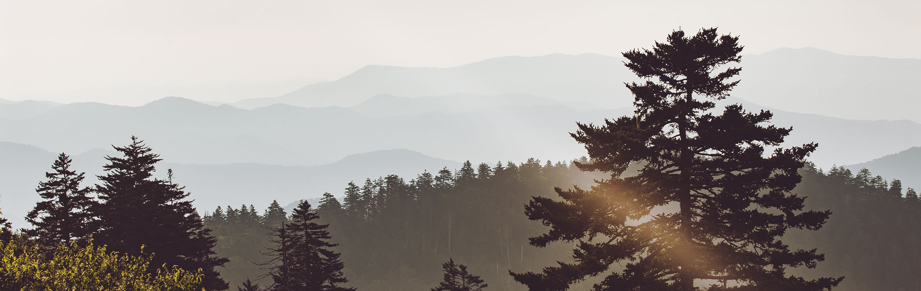 背景